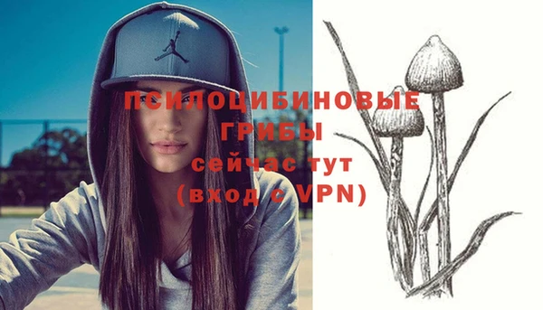 таблы Арсеньев