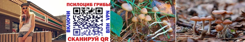 дарнет шоп  hydra tor  Псилоцибиновые грибы MAGIC MUSHROOMS  Прохладный 
